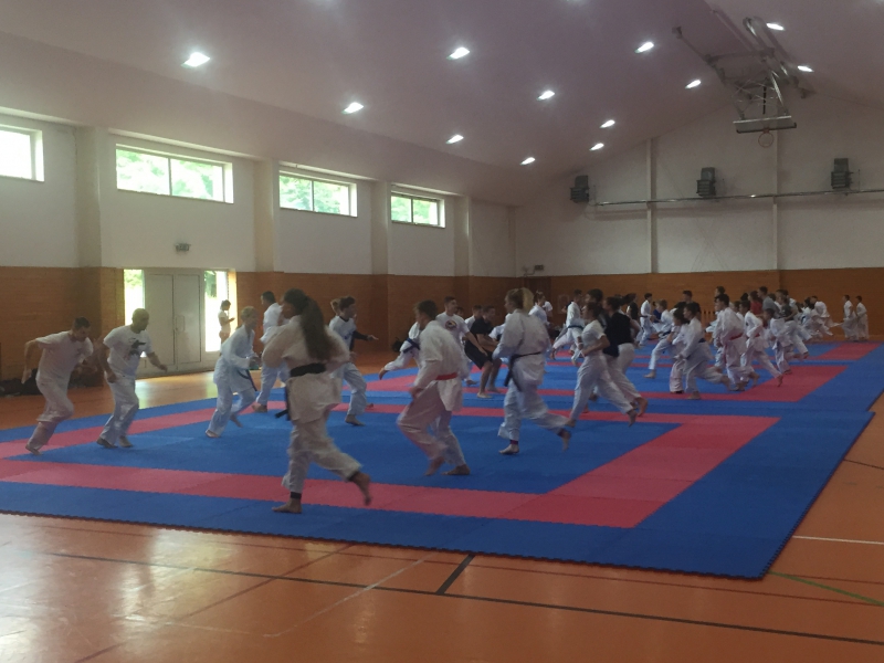 Farmex karate camp 2019 - 16. ročník